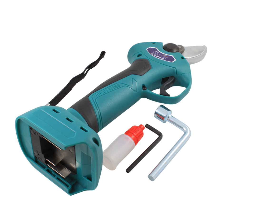 IMG_0670-PhotoRoom.png-PhotoRoom